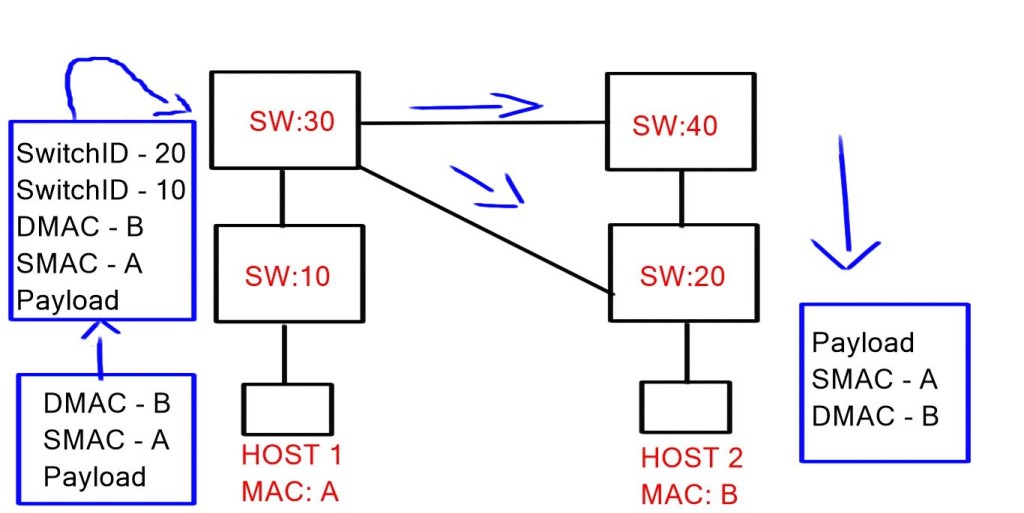 bidirectional mac address learning