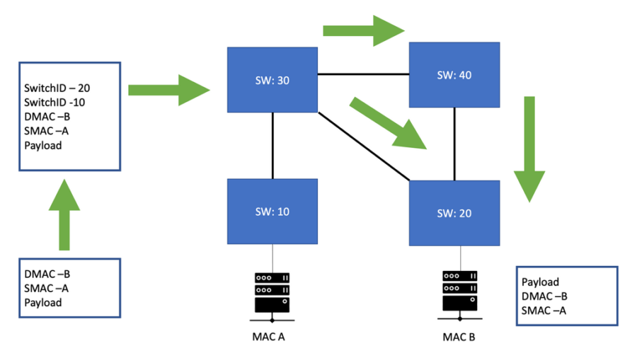 what-is-fabricpath