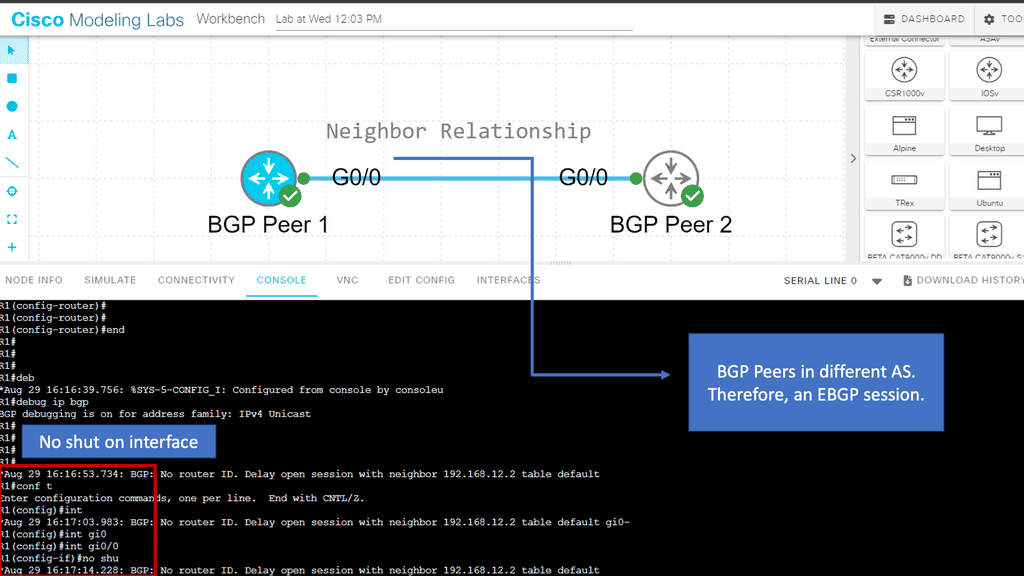 BGP Neighbor Relationship