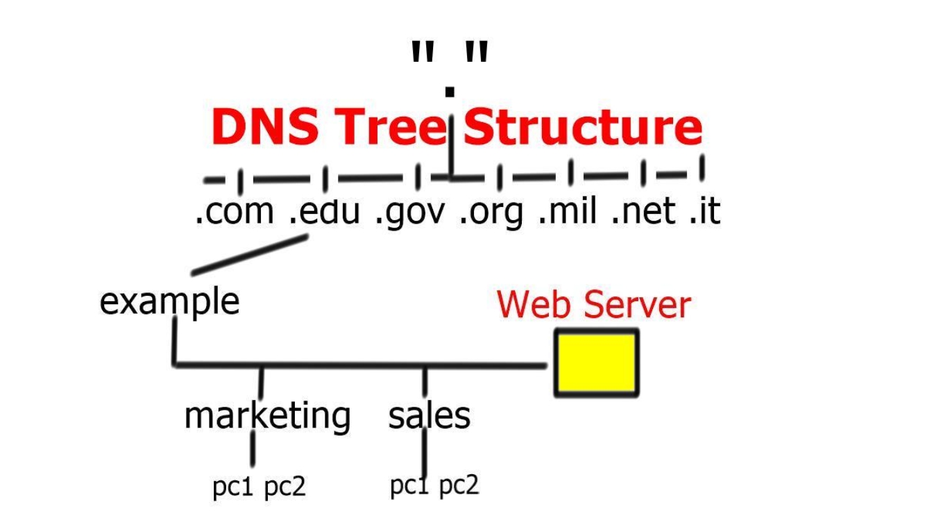 DNS Structure