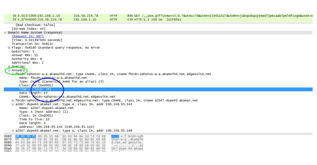 DNS Packet Capture1