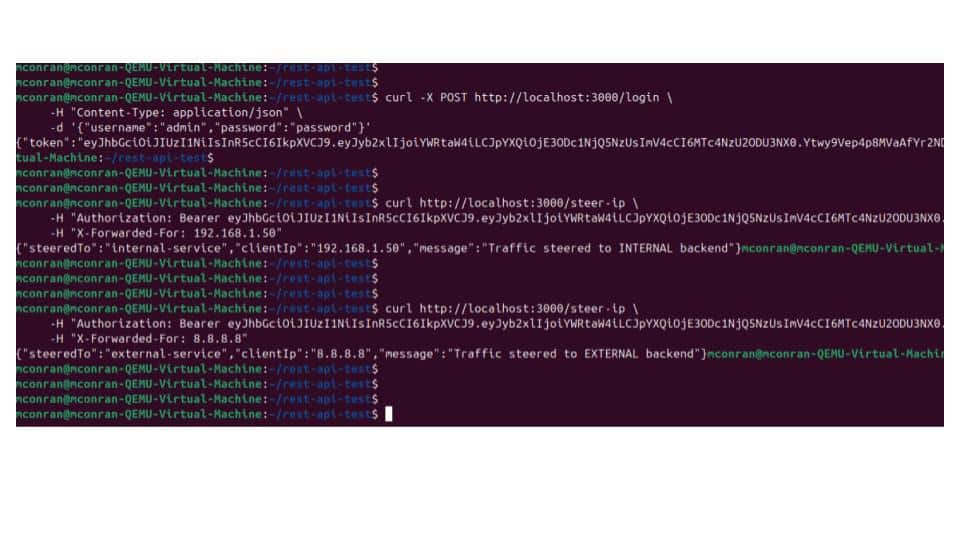 IP header classification